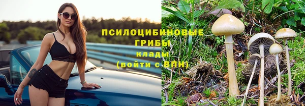 меф Щигры