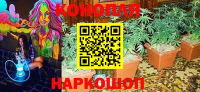 молекула духа Славянск-на-Кубани