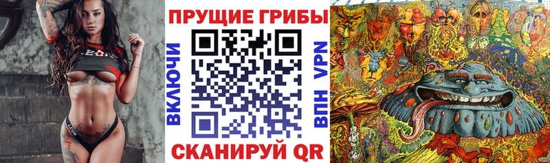 Галлюциногенные грибы Cubensis Новочебоксарск