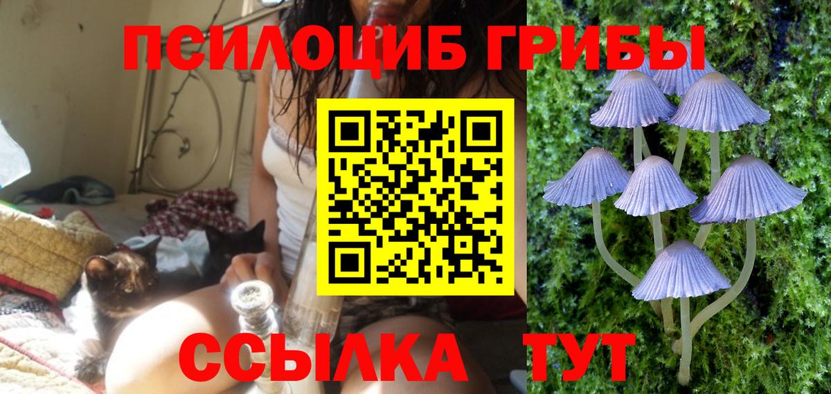 Новочебоксарск  Псилоцибиновые грибы Psilocybe  Вход с VPN 