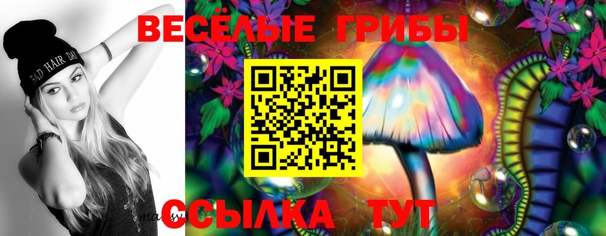 Псилоцибиновые грибы Magic Shrooms Новочебоксарск
